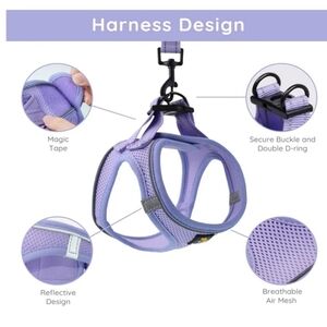 Step In Small Dog Harness Lavender